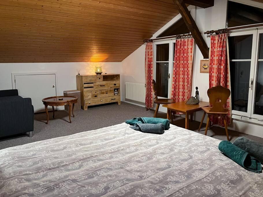 Chalet Maithili Lauterbrunnen -152-Year-Old Majestic Chalet エクステリア 写真