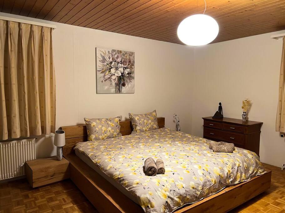 Chalet Maithili Lauterbrunnen -152-Year-Old Majestic Chalet エクステリア 写真