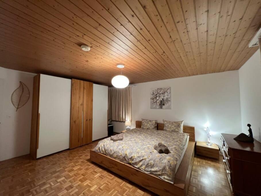 Chalet Maithili Lauterbrunnen -152-Year-Old Majestic Chalet エクステリア 写真