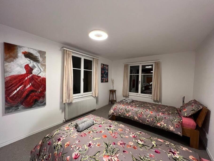 Chalet Maithili Lauterbrunnen -152-Year-Old Majestic Chalet エクステリア 写真